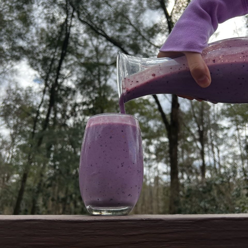 Yogurt Bebible Casero