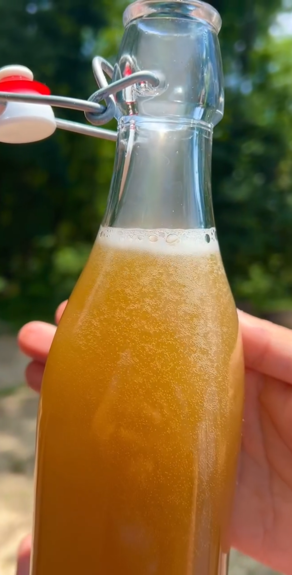 Gaseosa probiótica sabor a Mate&nbsp;🧉